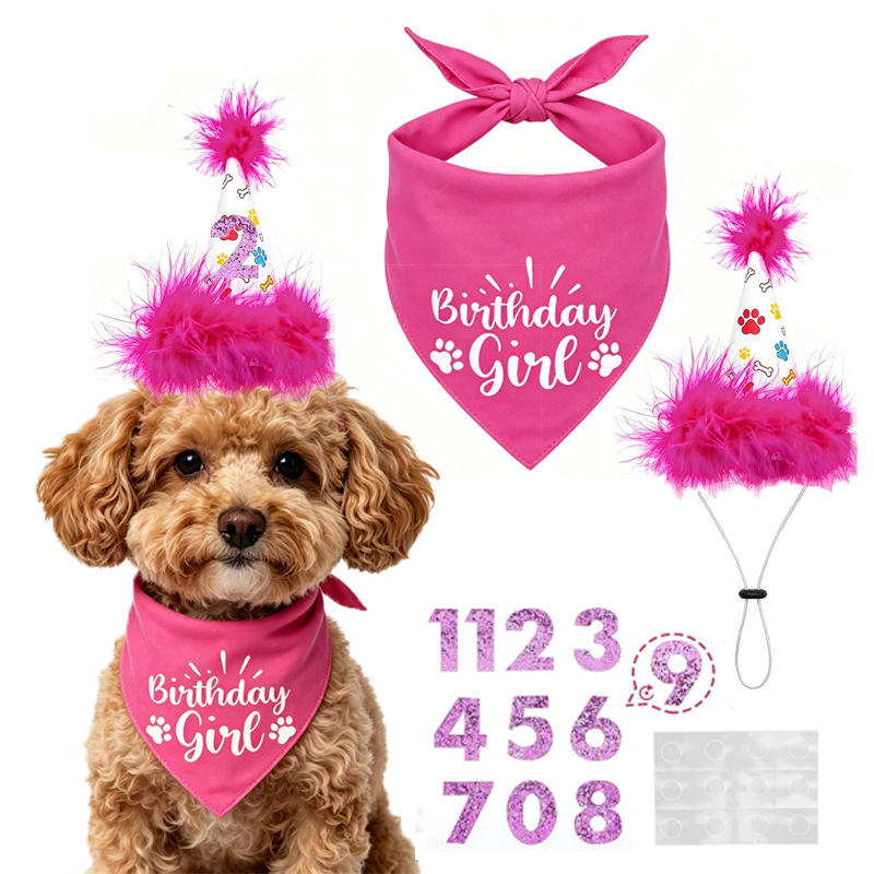 Pet Supplies In Bulk - 강아지 생일 파티 세트 반다나 스커트
