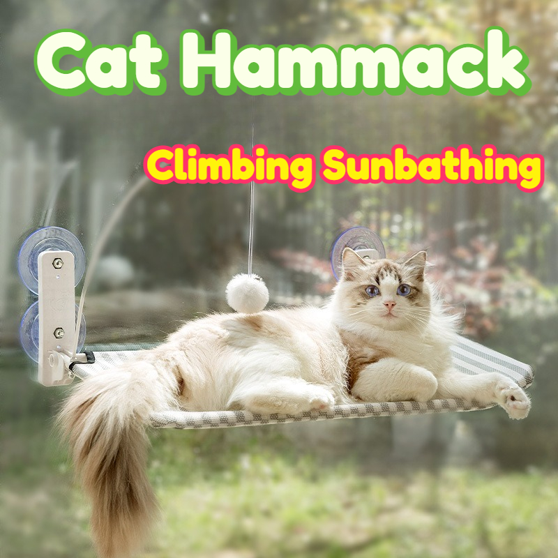 Interactive Cat Toy - 고양이 해먹 창문 걸이형 캣타워 강력