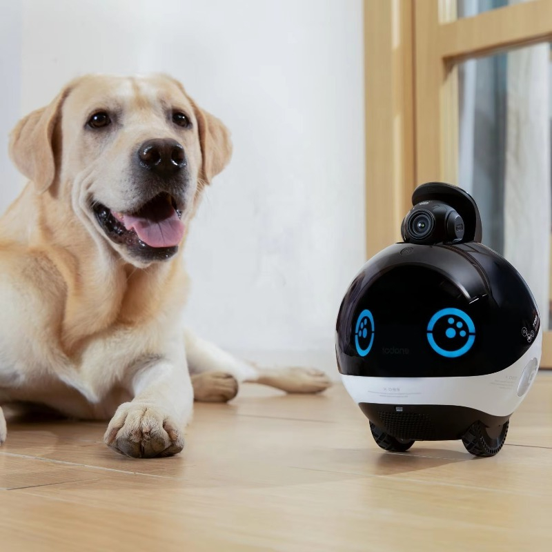 Interactive Cat Toy - 스마트 가족 로봇 HD 모니터링 실시간