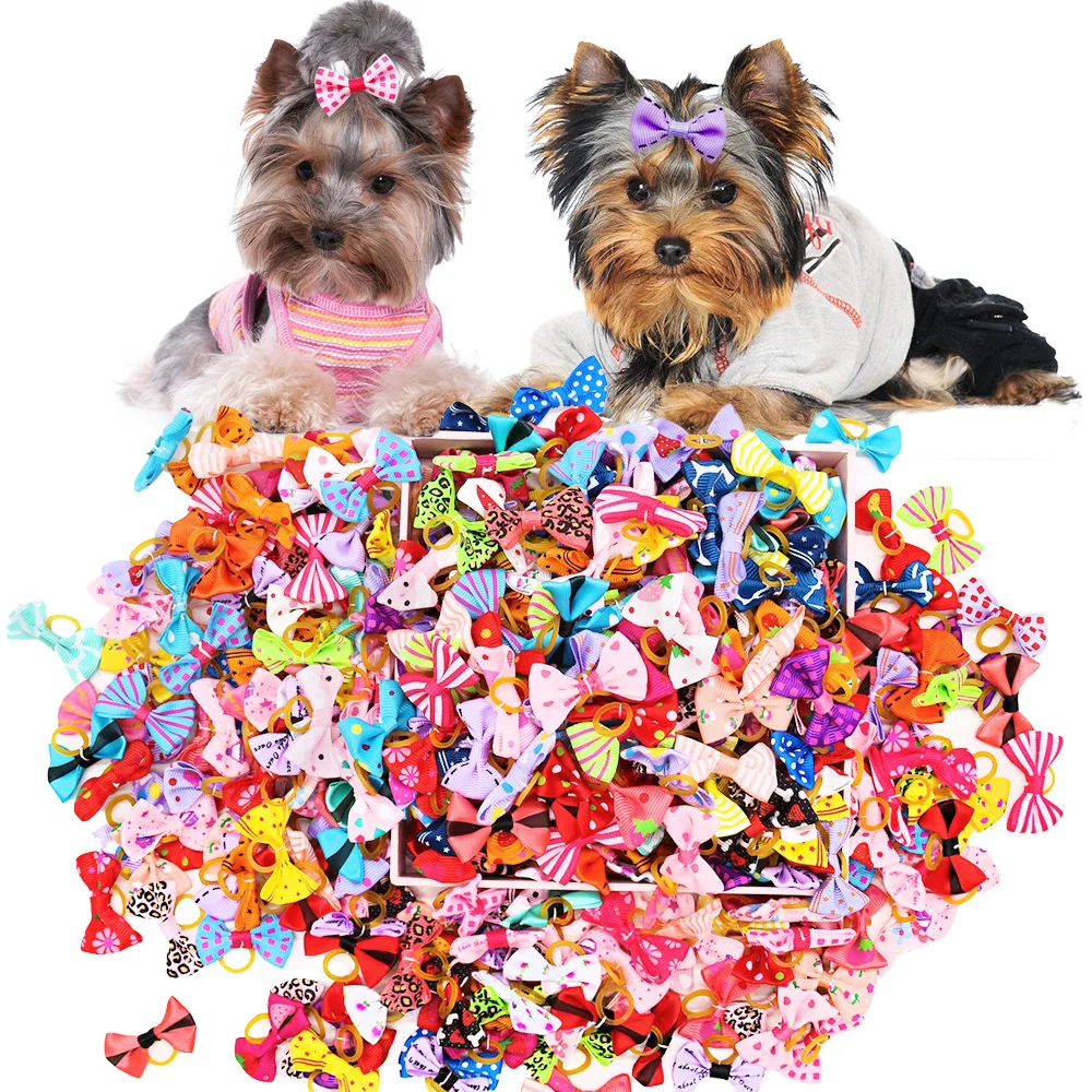 Pet Supplies In Bulk - 고무 밴드와 50PCS 개 활 개와