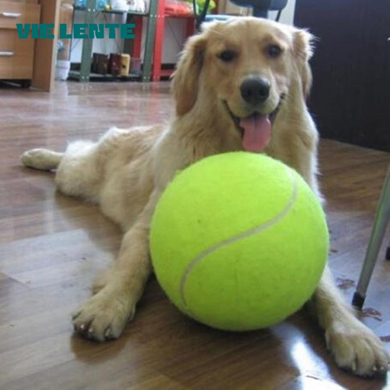7/8/9.5 인치 개 테니스 공 개를위한 거대한 애완 - Pet Supplies In Bulk 리뷰 및 가격