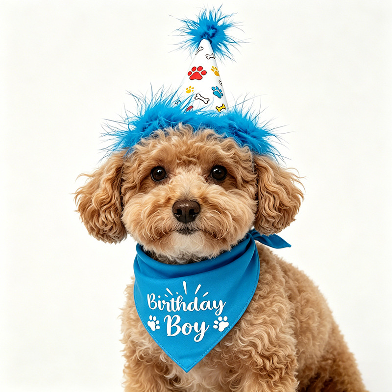 강아지 생일 파티 세트 반다나 스커트 모자 나비넥타이  - Pet Supplies In Bulk 리뷰 및 가격
