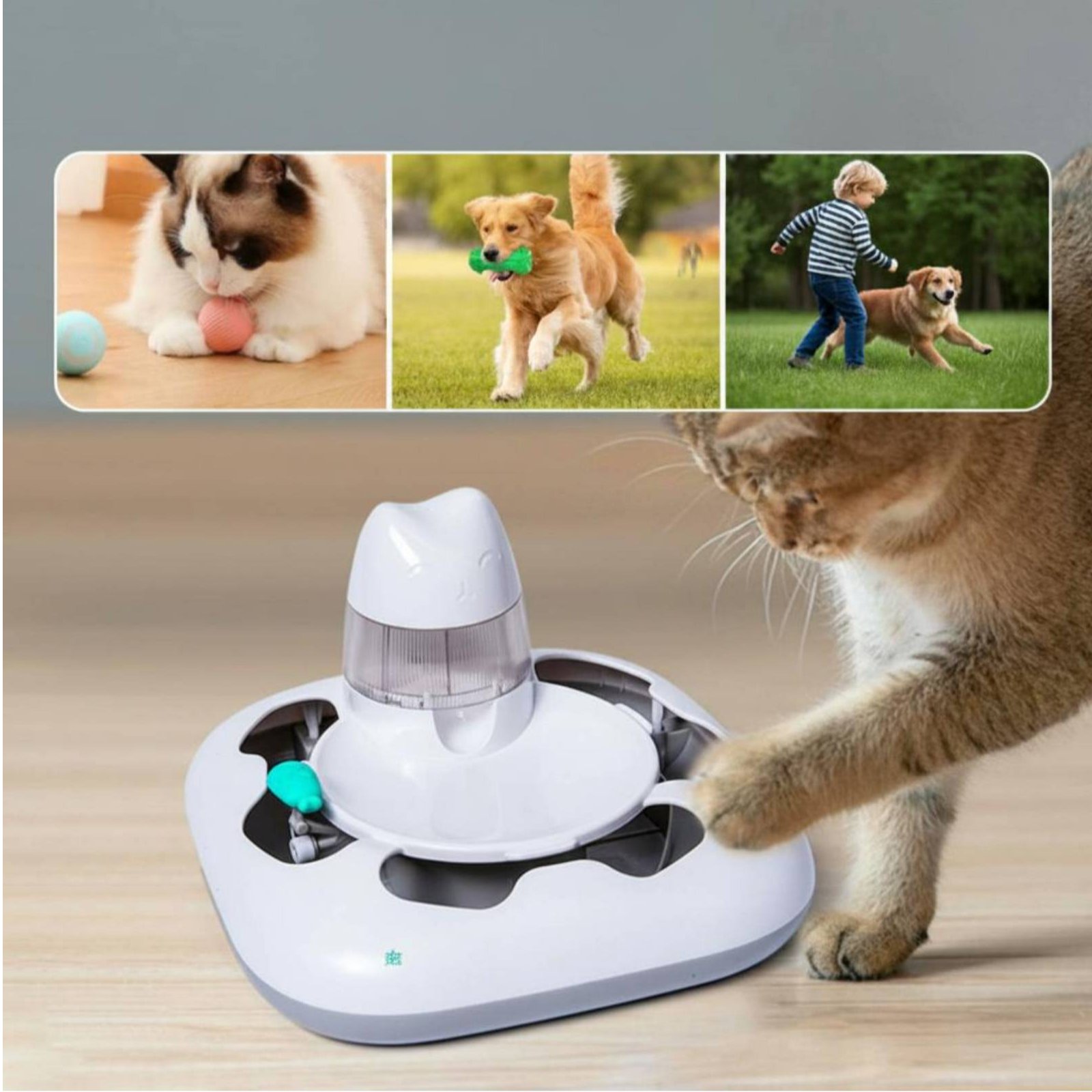 고양이 사냥 게임기 인터랙티브 플레이 자동 고양이 장난 - Interactive Cat Toy 리뷰 및 가격