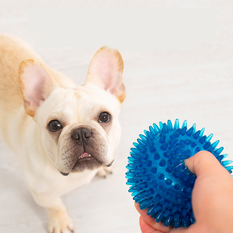 높은 탄성 프랑스 불독 애완 동물 놀이 공 장난감 물린 - Pet Supplies In Bulk 리뷰 및 가격
