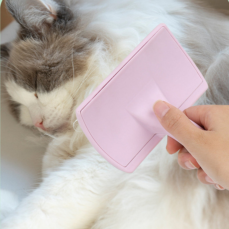 개 브러시 스테인레스 스틸 개 빗 마사지 개 손질 브러 - Pet Supplies Dropshipping 리뷰 및 가격