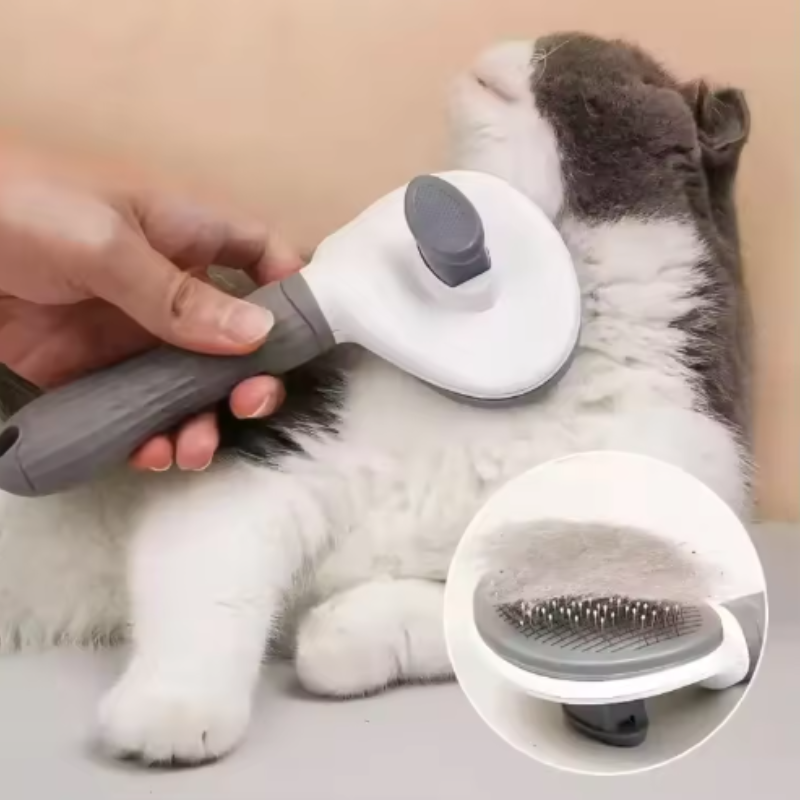 여름철 뜨거운 날씨에도 사용 가능한 셀프 클리닝 애완견 - Pet Supplies Dropshipping 리뷰 및 가격