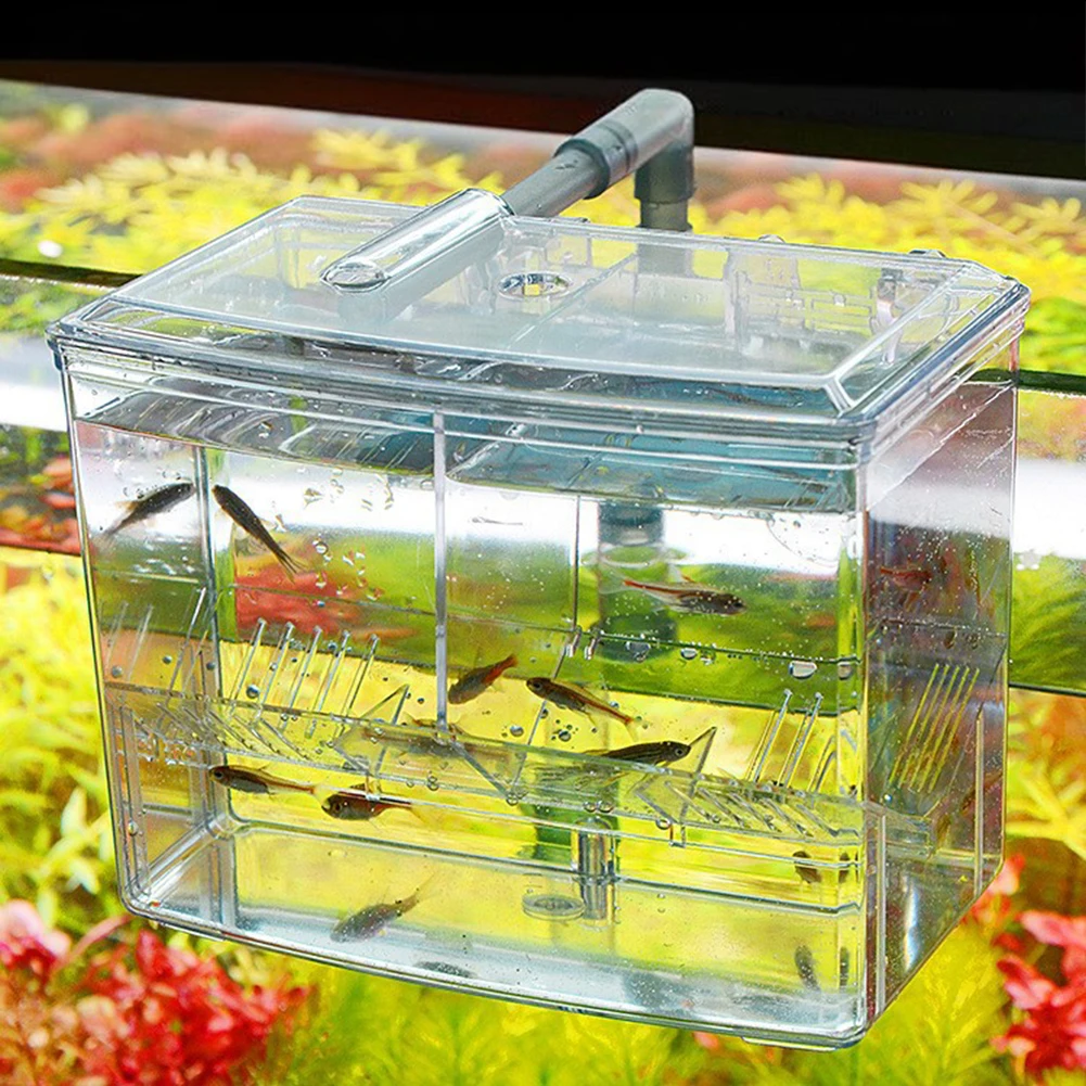 1.25L 2.5L 수족관 물고기 번식 상자, 어항 외 - Pet Supplies Fish 리뷰 및 가격