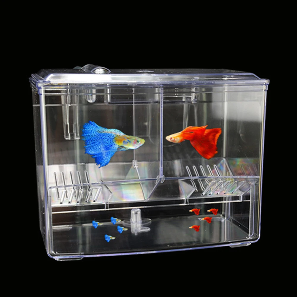 1.25L 2.5L 수족관 물고기 번식 상자, 어항 외 - Pet Supplies Fish 리뷰 및 가격