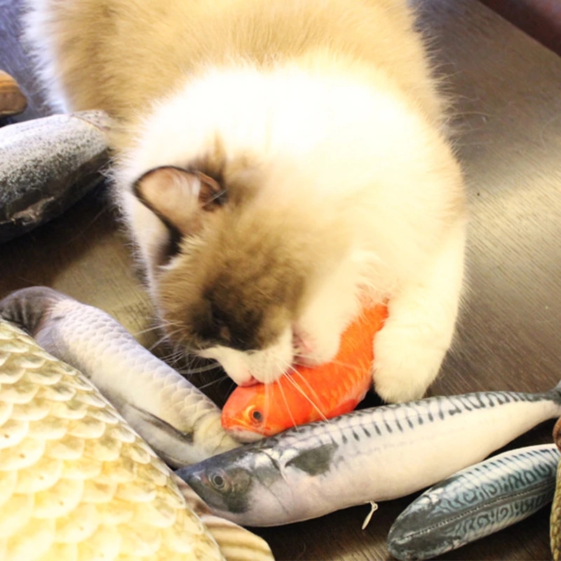 애완 고양이 장난감 물고기 모양 고양이 스크래치 보드  - Pet Supplies Fish 리뷰 및 가격