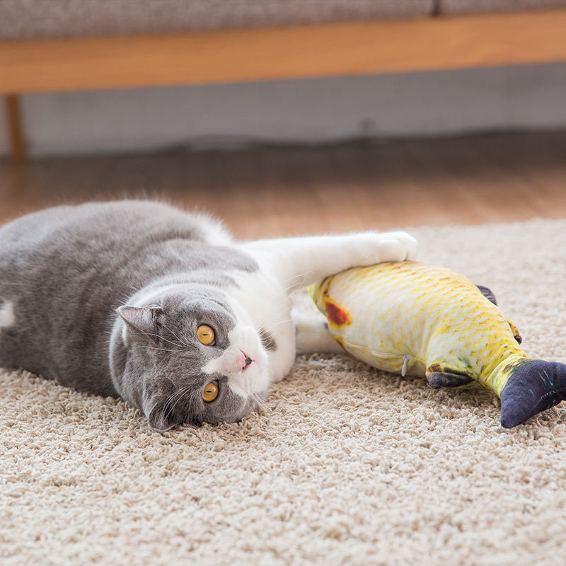 애완 고양이 장난감 물고기 모양 고양이 스크래치 보드  - Pet Supplies Fish 리뷰 및 가격