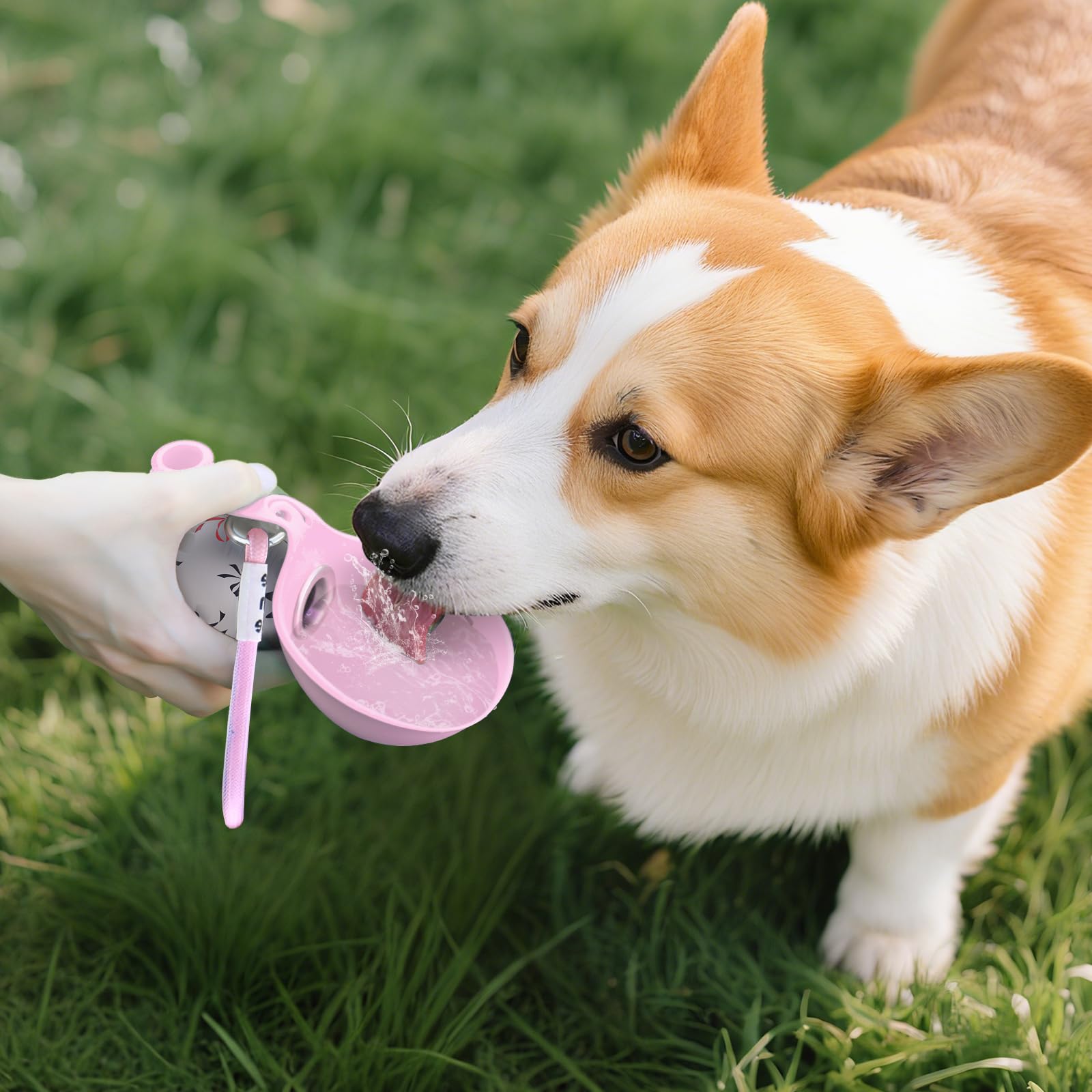 2-in-1 휴대용 강아지 물병 (소형견용) - 새지  - Pet Supplies Dropshipping 리뷰 및 가격