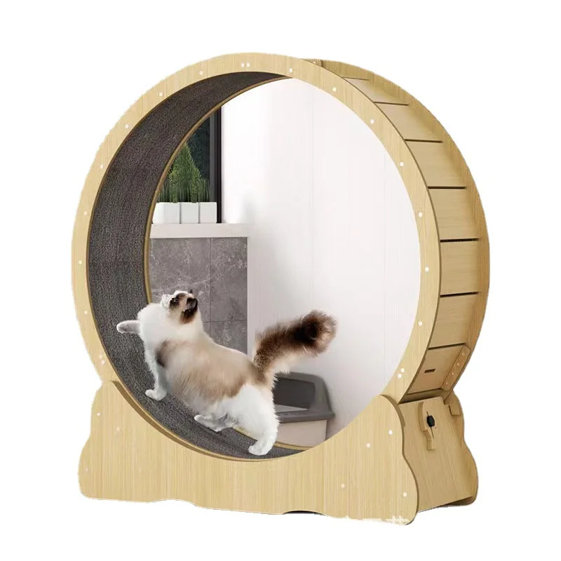 고양이 피트니스 휠 실내 장난감 고양이 인터랙티브 장난 - Interactive Cat Toy 리뷰 및 가격