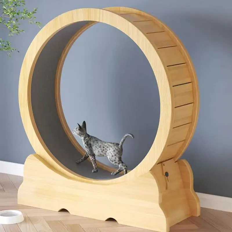 고양이 피트니스 휠 실내 장난감 고양이 인터랙티브 장난 - Interactive Cat Toy 리뷰 및 가격
