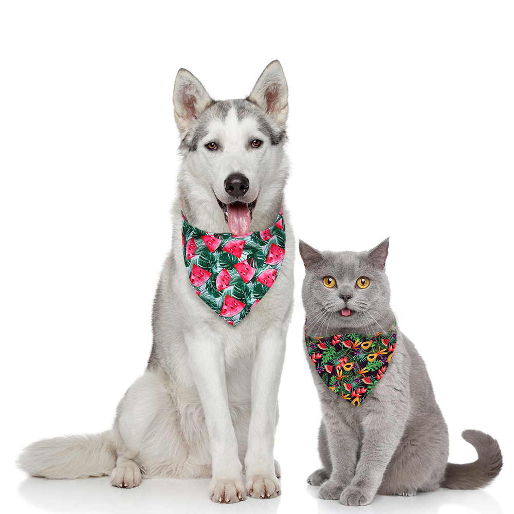 8pcs 개 두건 과일 스타일 두건 개 액세서리 개 스 - Pet Supplies In Bulk 리뷰 및 가격
