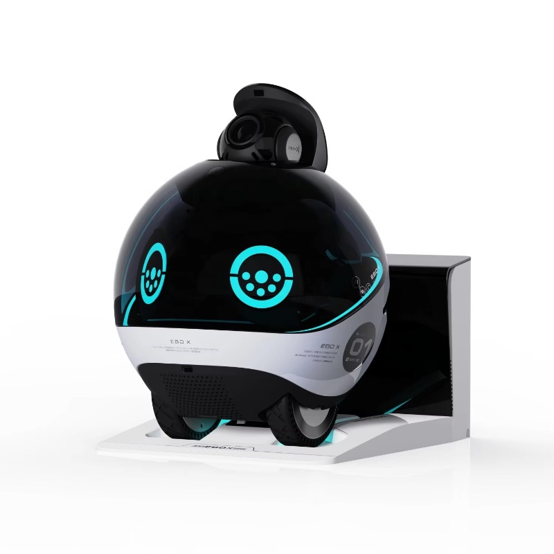 스마트 가족 로봇 HD 모니터링 실시간 상호작용 고양이 - Interactive Cat Toy 리뷰 및 가격