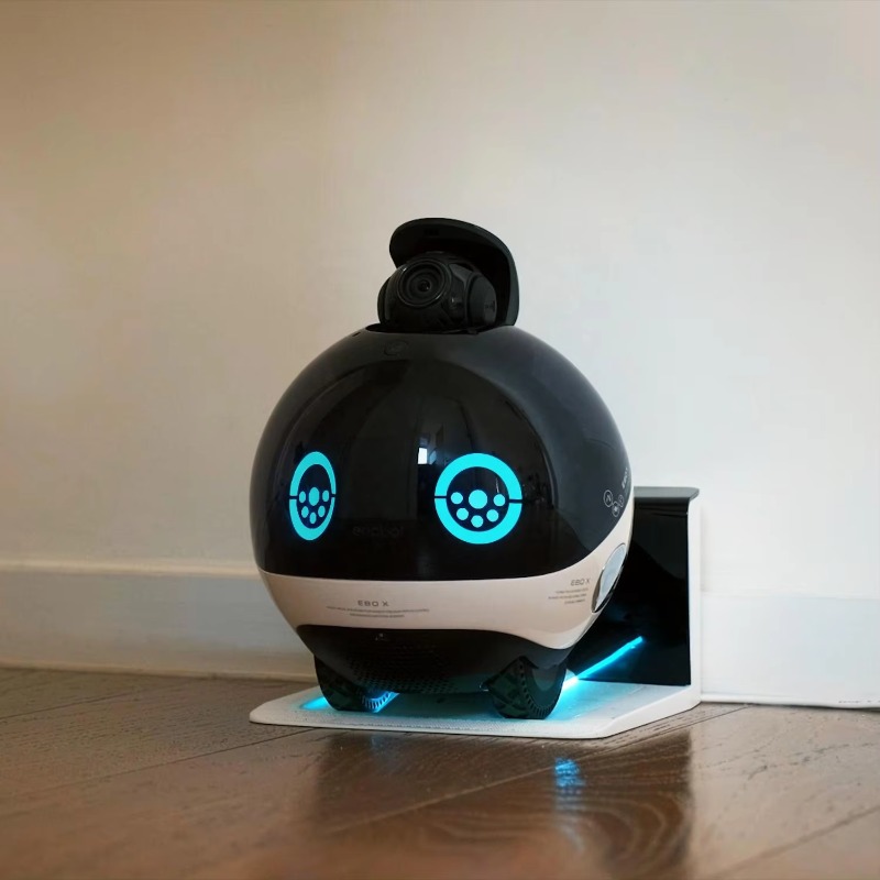 스마트 가족 로봇 HD 모니터링 실시간 상호작용 고양이 - Interactive Cat Toy 리뷰 및 가격
