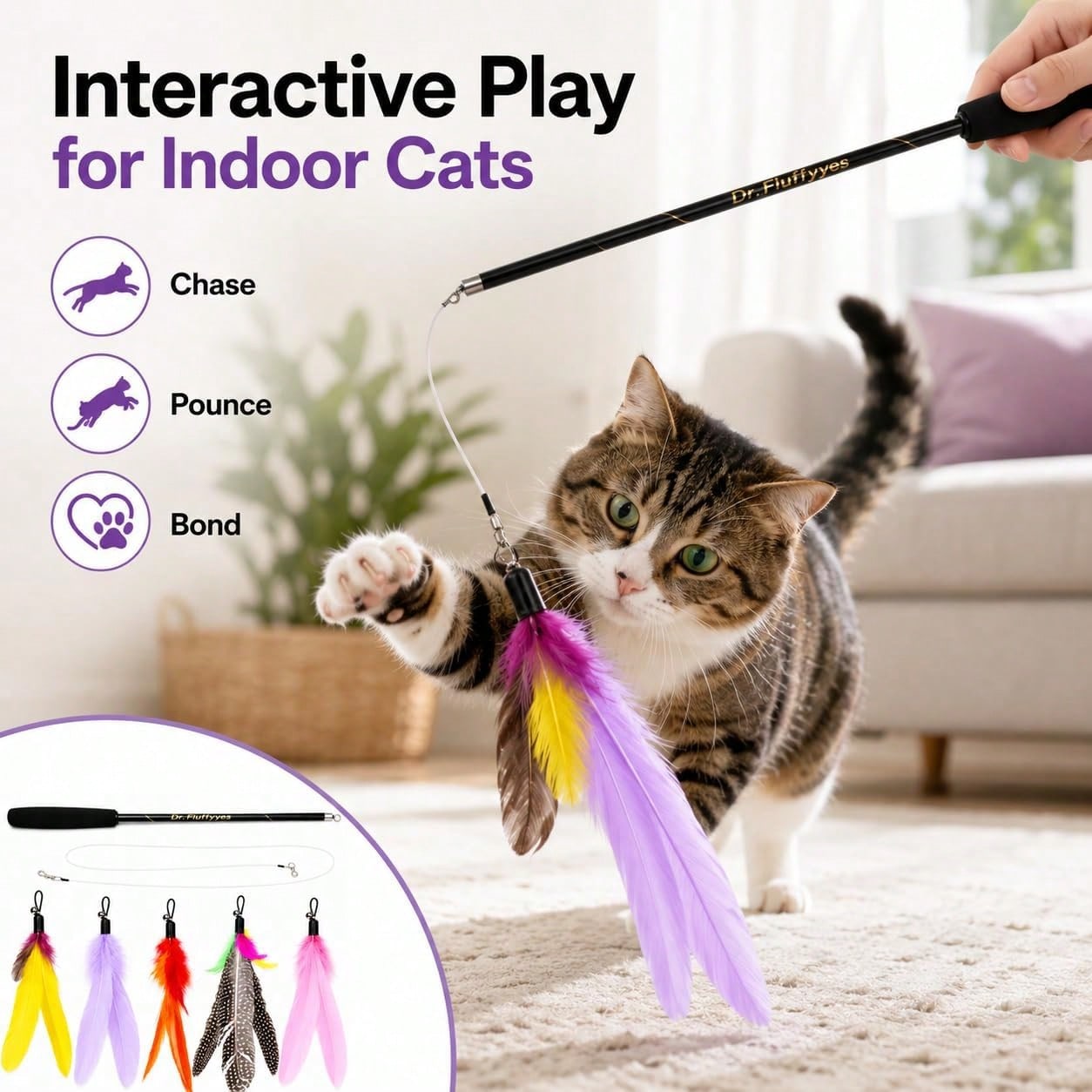 5개의 깃털 부착물이 있는 고양이 막대 장난감 - 실내 - Interactive Cat Toy 리뷰 및 가격