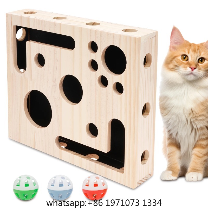 고양이 네일 파일 박스 장난감 (벨볼과 사포 포함) 고 - Interactive Cat Toy 리뷰 및 가격