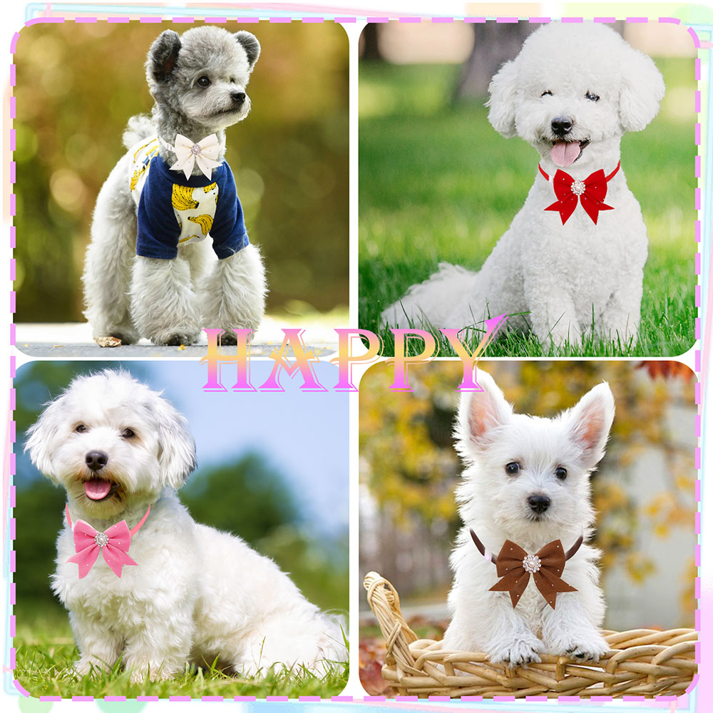 개 목걸이 꽃 리본 다이아몬드 진주 개 손질 액세서리, - Pet Supplies In Bulk 리뷰 및 가격