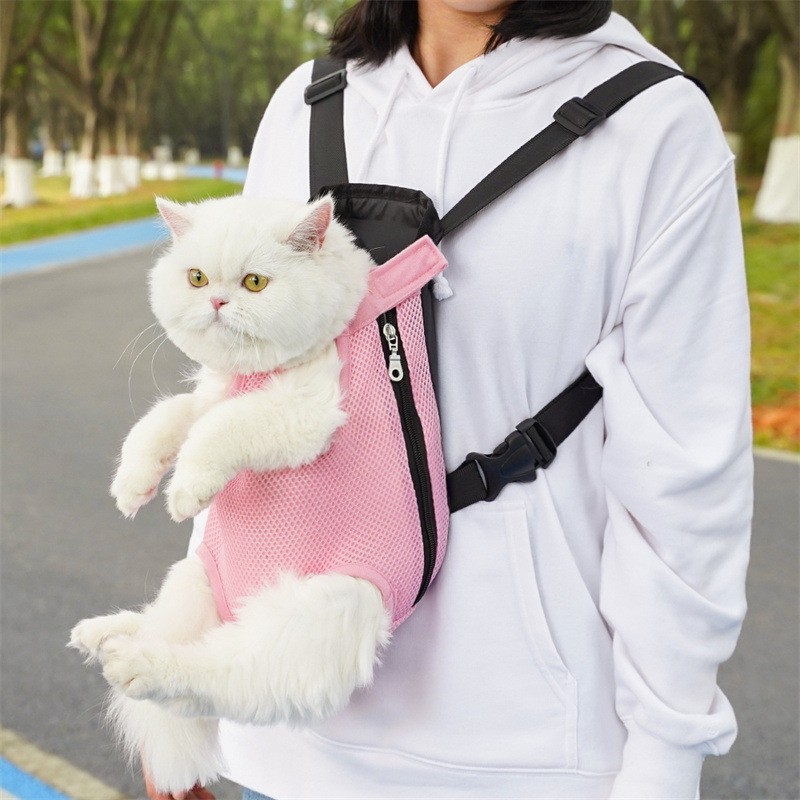 강아지 고양이 백팩 애완동물 백팩 강아지 외출용 메쉬  - Pet Supplies In Bulk 리뷰 및 가격