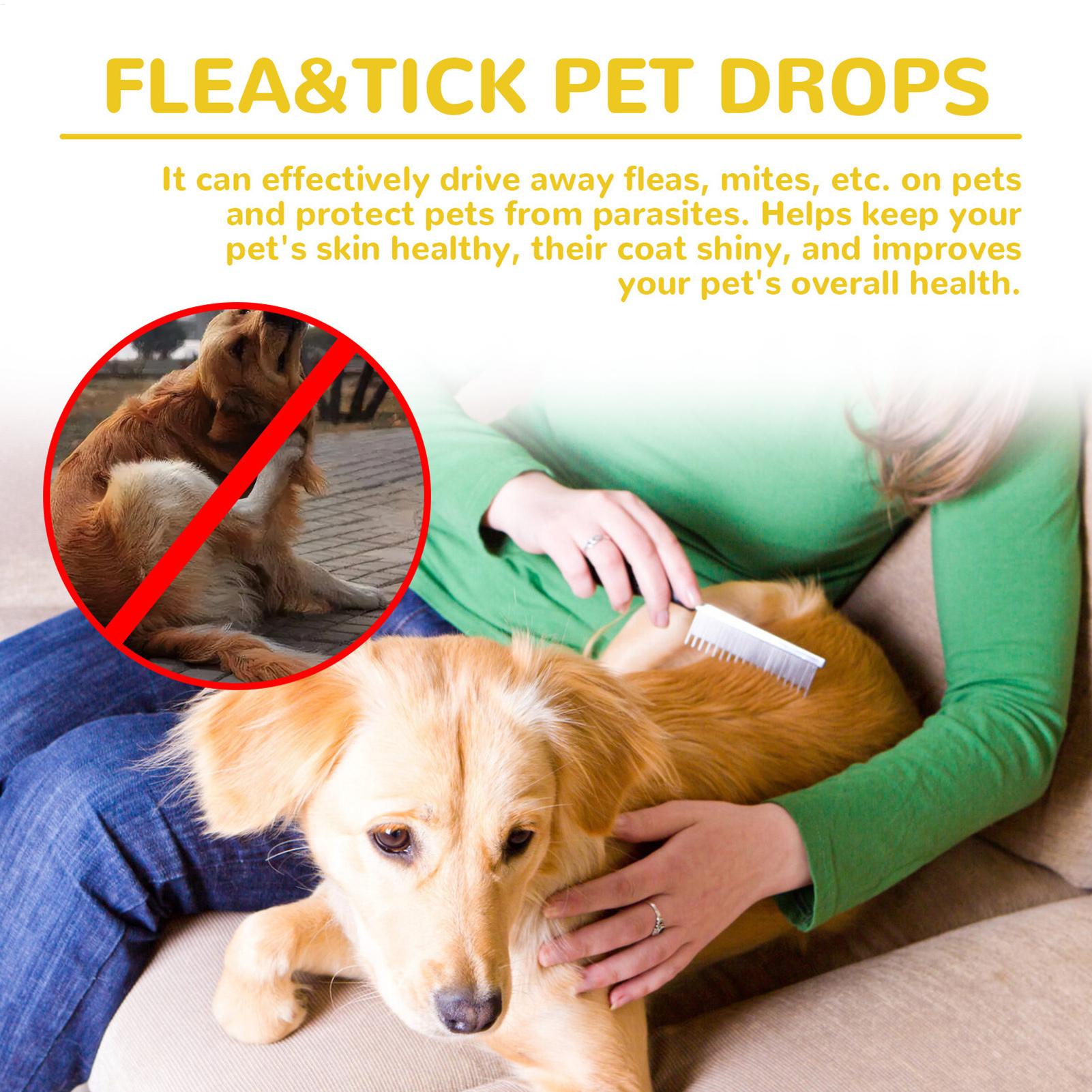 고양이 벼룩약, 벼룩 제거, 피부 가려움 완화, 외부  - Pet Supplies Dropshipping 리뷰 및 가격