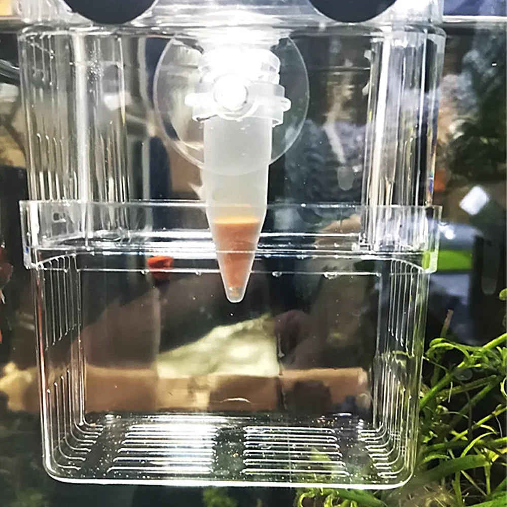 자동 물고기 먹이 공급기 콘 새우 알 벌레 투입컵 먹이 - Pet Supplies Fish 리뷰 및 가격