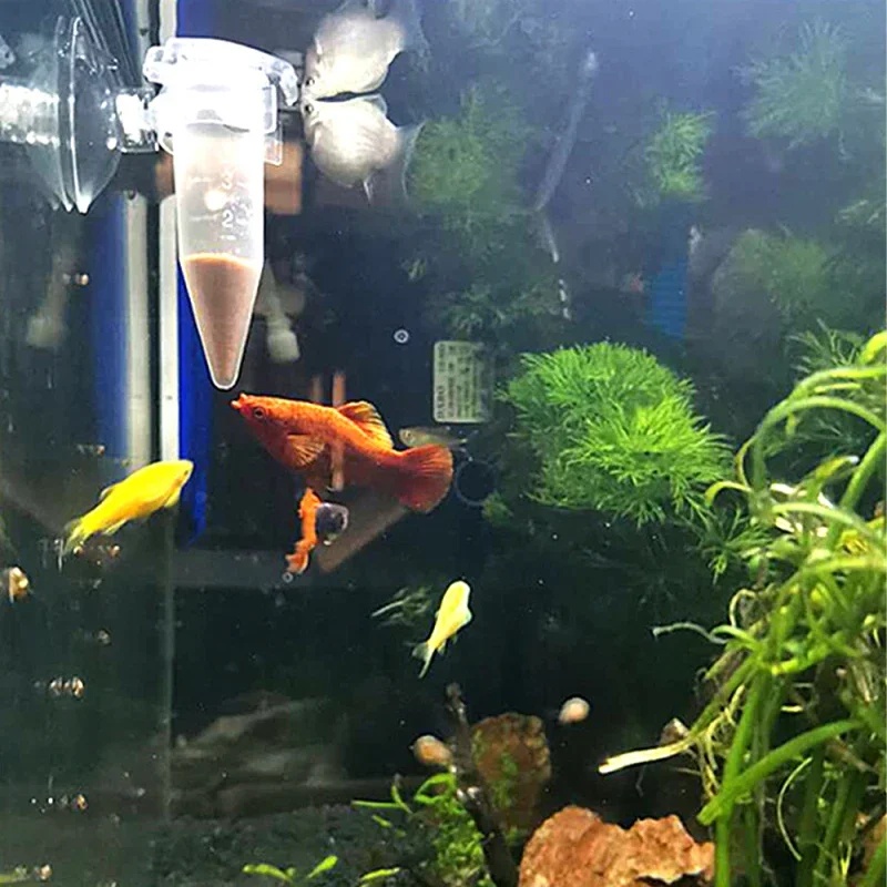 자동 물고기 먹이 공급기 콘 새우 알 벌레 투입컵 먹이 - Pet Supplies Fish 리뷰 및 가격