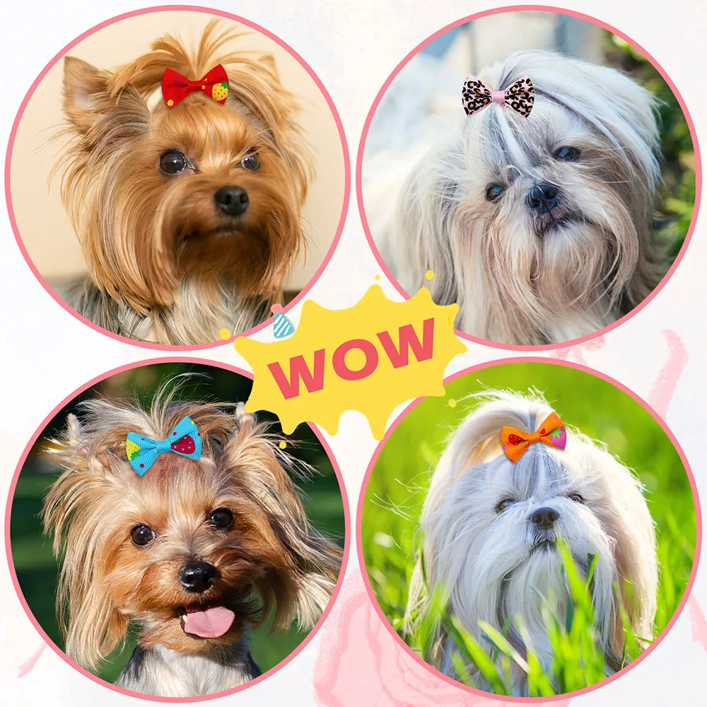 고무 밴드와 50PCS 개 활 개와 고양이를위한 수제  - Pet Supplies In Bulk 리뷰 및 가격